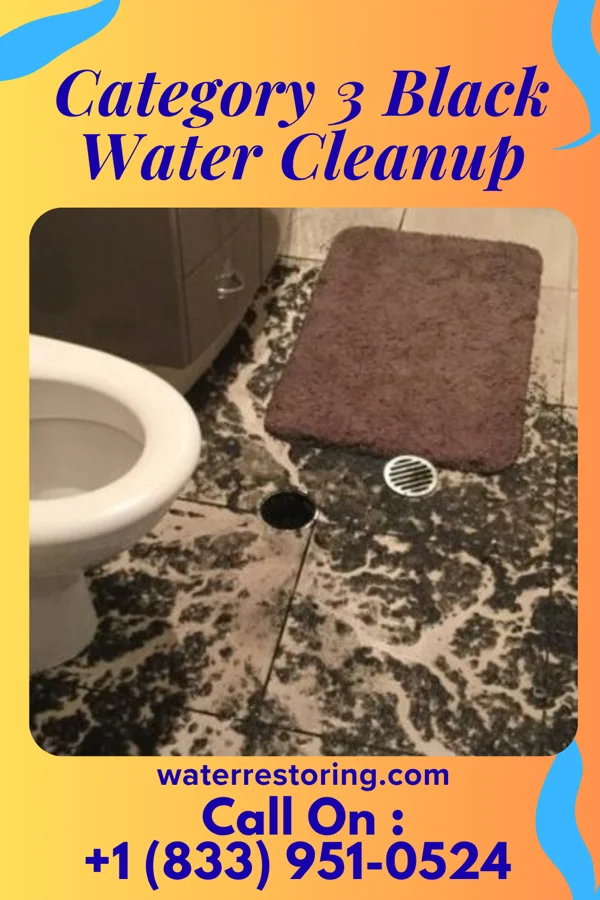 Category 3 Black Water Cleanup in Highpoint, OH