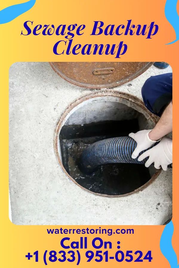 Sewage Backup Cleanup in Highpoint, OH