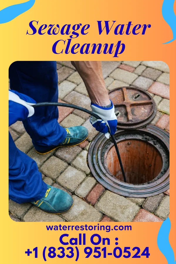 Sewage Water Cleanup in Highpoint, OH